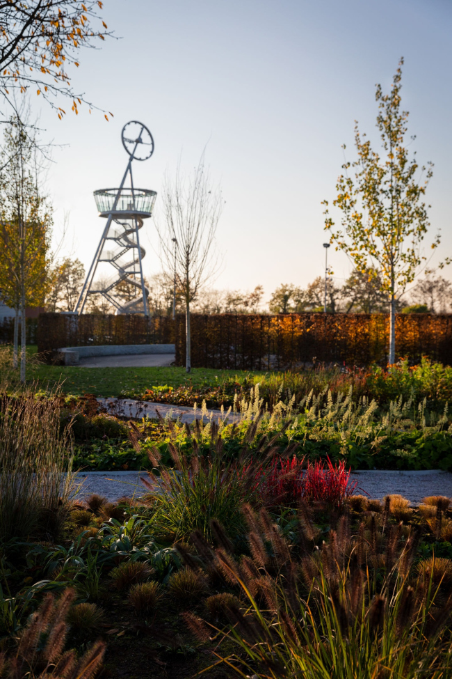 ��� ���� ������� �� ������� Vitra