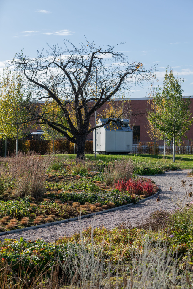 ��� ���� ������� �� ������� Vitra