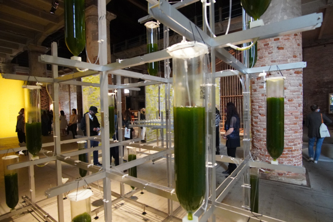 BIT.BIO.BOT. ������������ ����������� ������������������ �����������, ecoLogic Studio, ��������������, �������