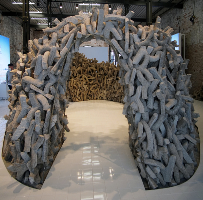 Wetland, ������������ �������� �������, �������