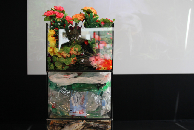 ������ ��������: �������� ��-����� / ����� ���������. ��� ������ 2021