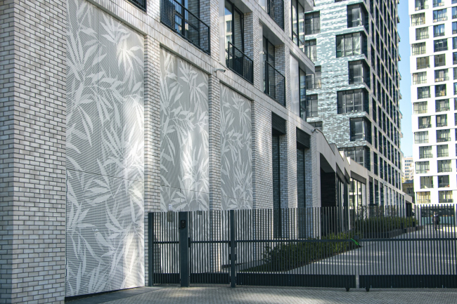 �� LIFE �����������