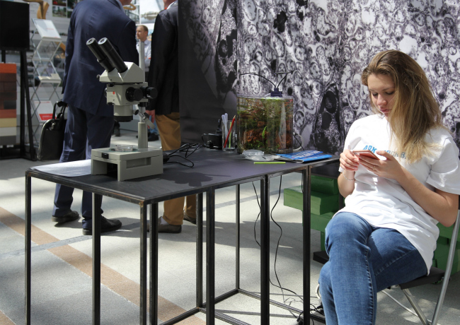 ��� ����. ������������� ���������� ������� ������. ��������� ���������. ����� ��� ������������� ���������. ��� ������ 2021