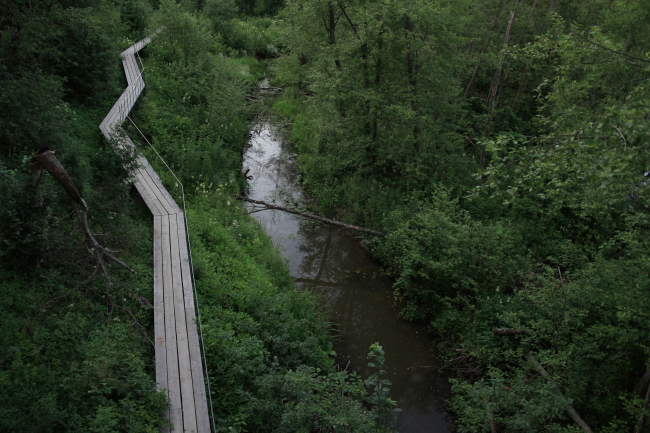 ���� ���������� ��������� � ���������. ��� �� ������������