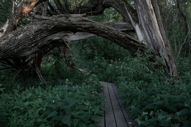 ����-��� �� ����� � ����. �� ������ �������� �������, ���� �� ��������� ��� ����� �� ���� ����� � ����� ������� ���� ���� �� ��� � ��� ������������ �����, ��������� ���� � ������ �������� �������. ���� ���������� ��������� � ���������