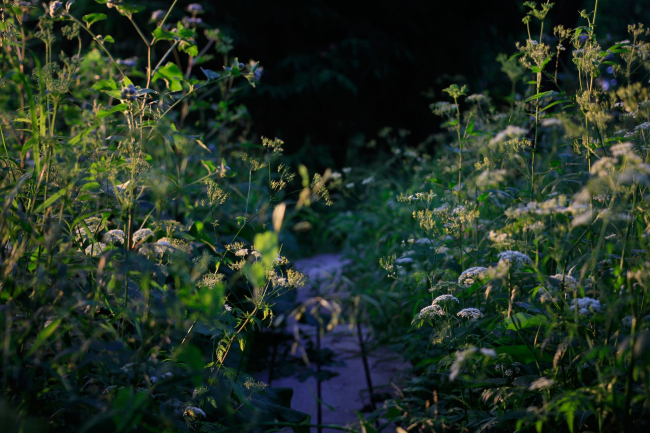 �� ����� � ���� �������. ������ � ����� �����. ���� ���������� ��������� � ���������