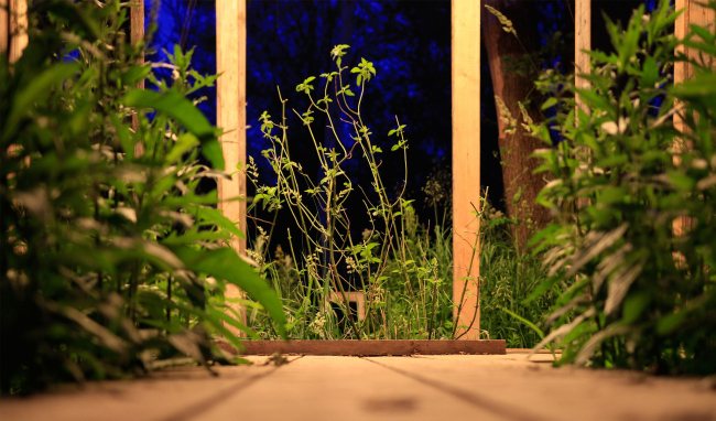 �������������� ��� ��������� ��������. ���� ���������� ��������� � ���������