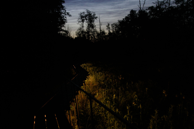 ��� �� ������������. ���� ���������� ��������� � ���������