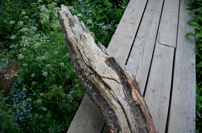 ������, ������� ������� ������ (����� �� ����, �� ��� ����� ������� � ������) ���� ���������� ��������� � ���������