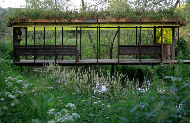 ������ ����. ���� ���������� ��������� � ���������