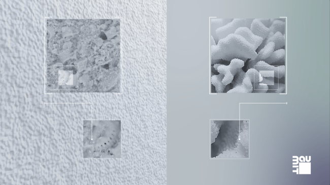 ��������������� ���������� �� ����������� ������ Baumit StarTop. ������ �� �����, ������� � �������.