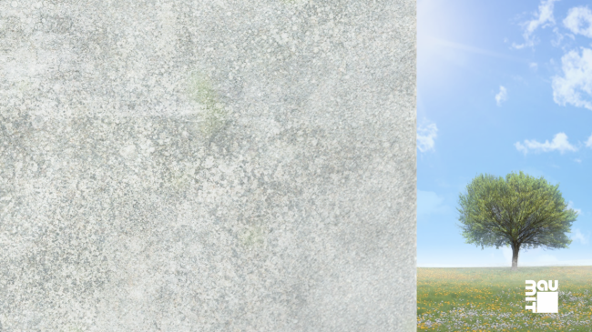 ��������������� ���������� �� ����������� ������ Baumit StarTop