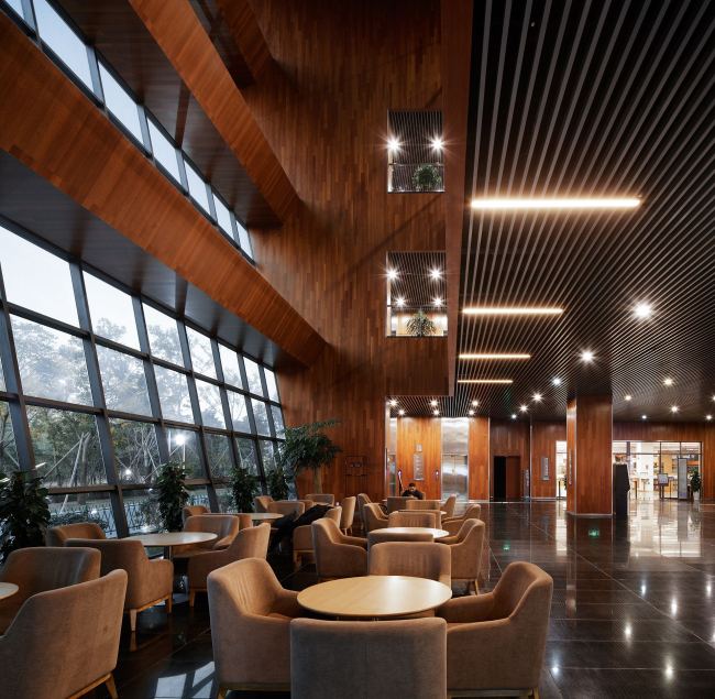 ����� � ���������� �������