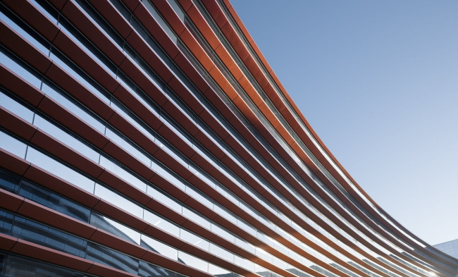 ����� � ���������� �������