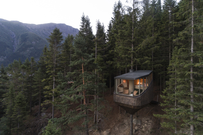 ����� Woodnest