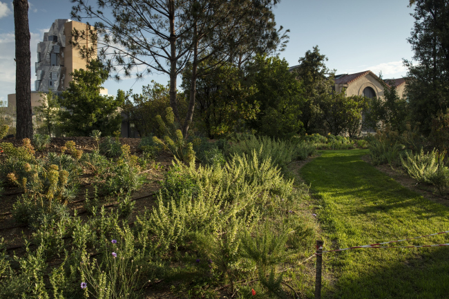 ������� � ����� �������������� �������� �� ������� LUMA Arles
