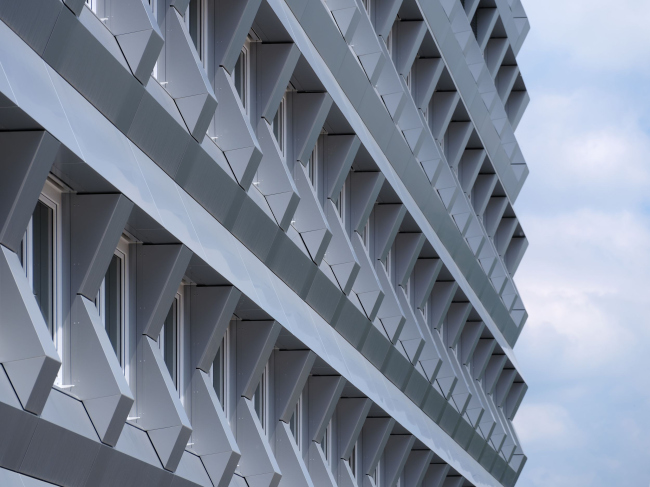 ������� ������ ZigZag