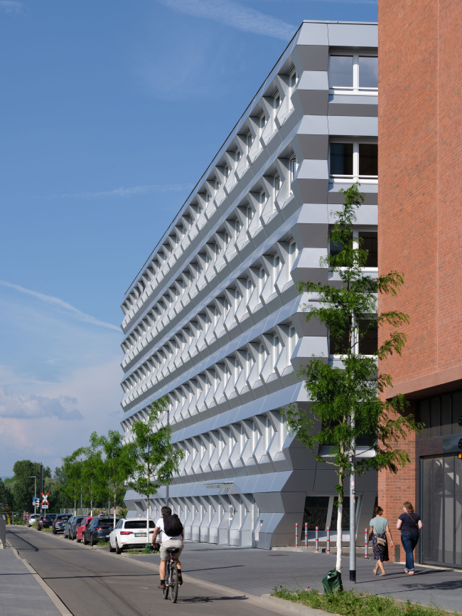 ������� ������ ZigZag