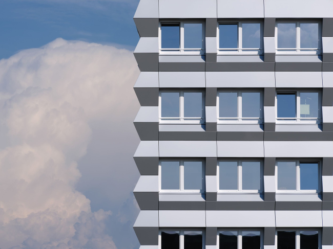 ������� ������ ZigZag