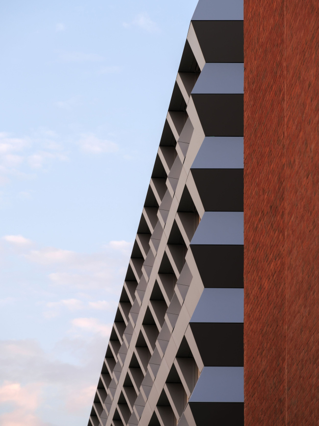 ������� ������ ZigZag