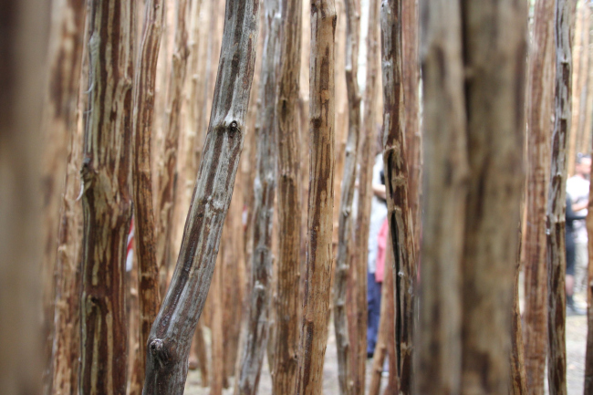 ������������� ����. �������� ��������� � ������� ������. ���������� 2021. �������� � �������� ���������, 22.07.2021