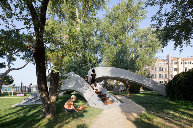 ���� Striatus