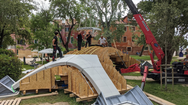 ���� Striatus