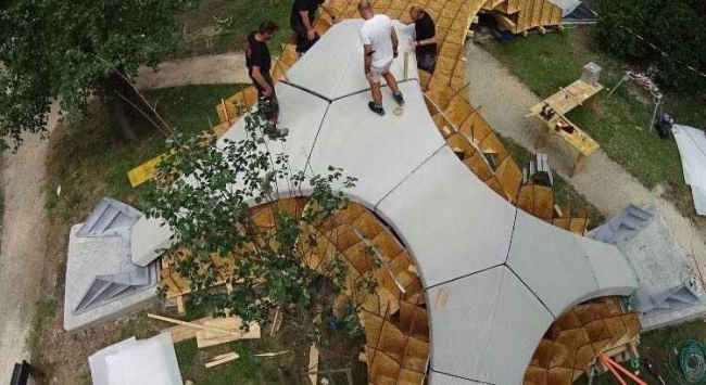 ���� Striatus