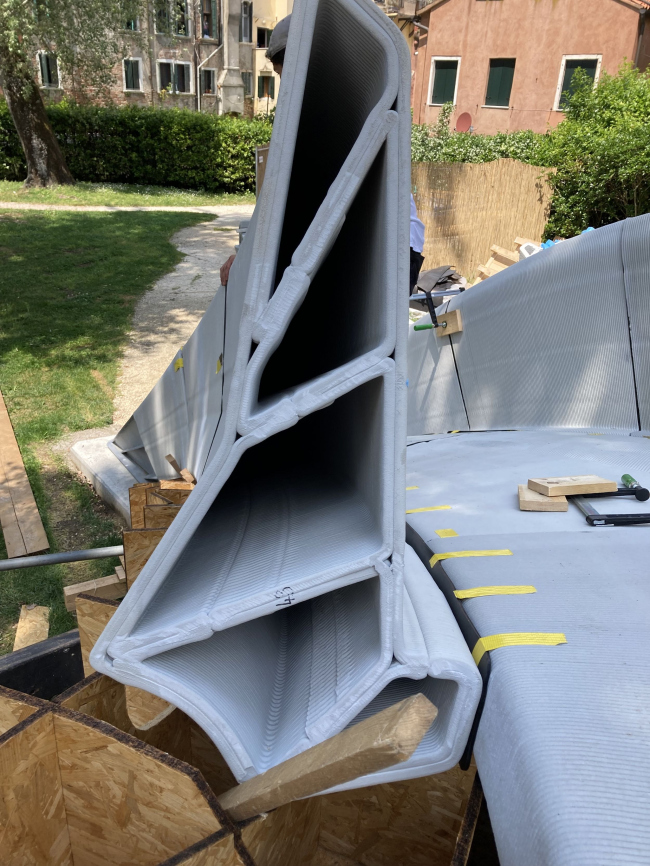 ���� Striatus