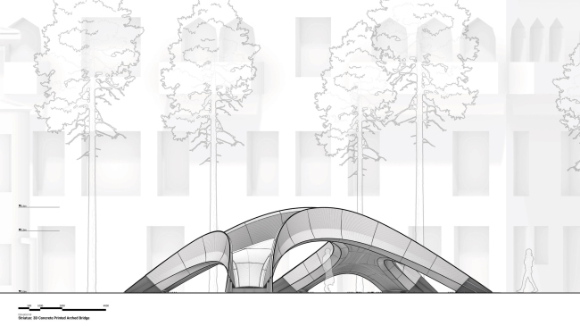 ���� Striatus