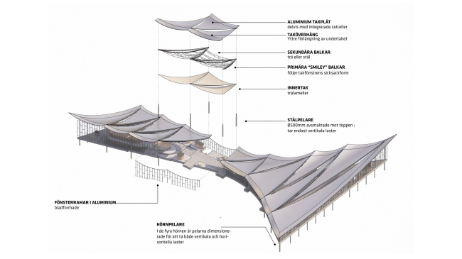 ������������ ���� � ���������