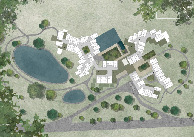 Архитектурная концепция гостиницы вблизи Плещеева озера. План 2  этажа