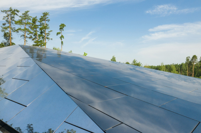 ���� ��������