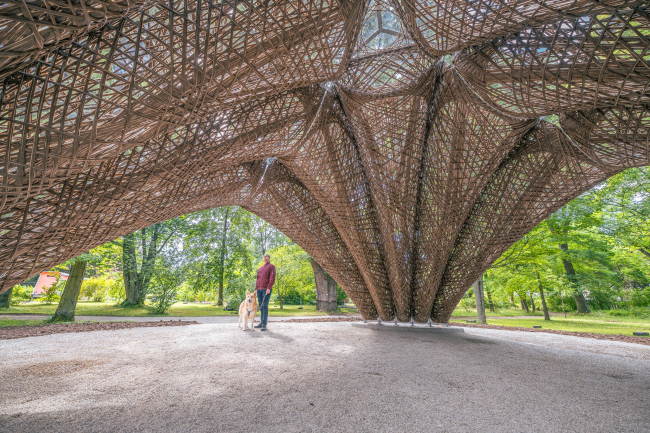 �������� livMatS