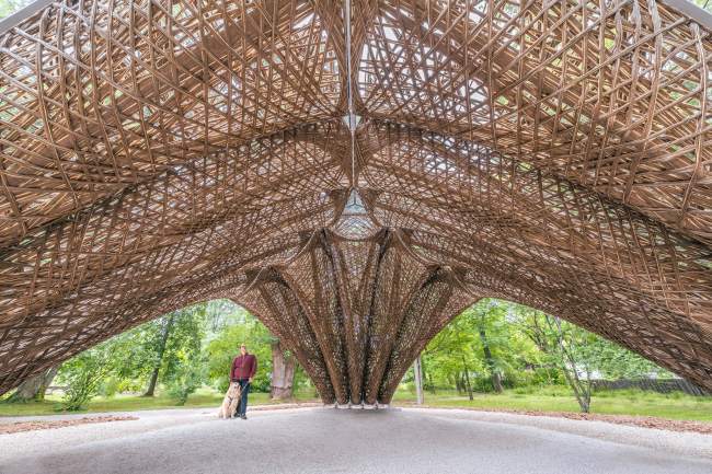 �������� livMatS