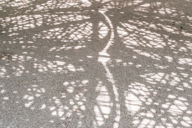 �������� livMatS