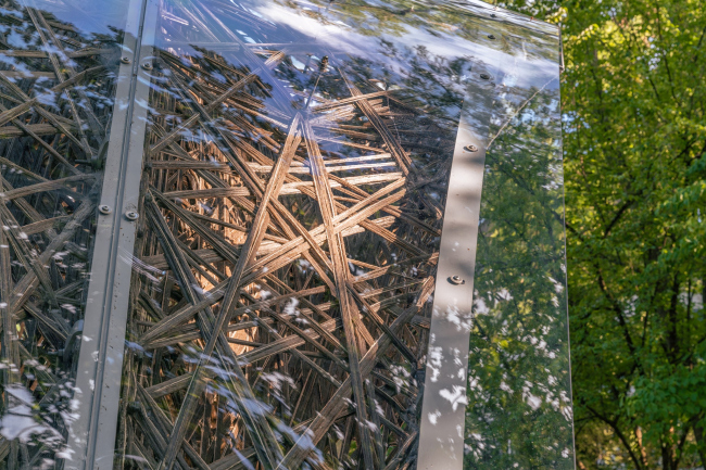 �������� livMatS