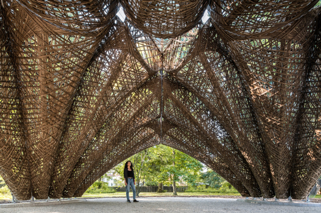 �������� livMatS