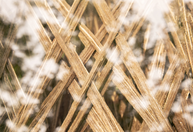 �������� livMatS