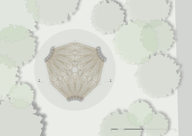 �������� livMatS