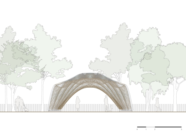 �������� livMatS