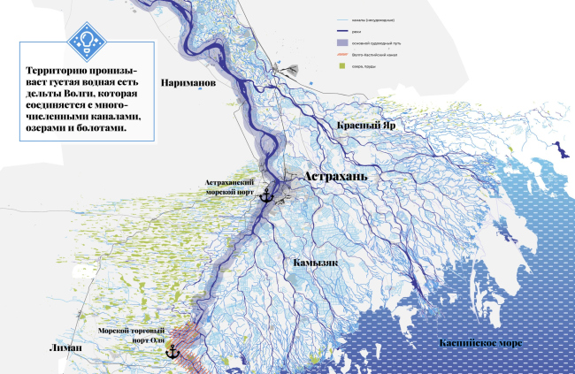 ������-���� ������������ �����������, ������-���������� ��������, 2021