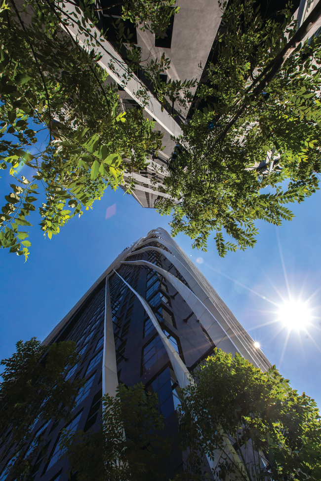 �������� Arté MK