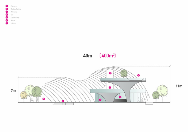 �������� Arté MK