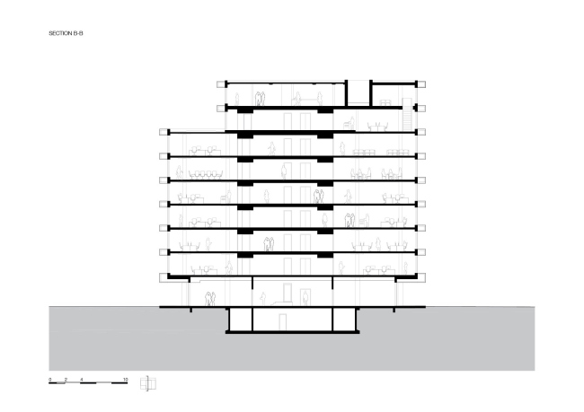 ������� ������ De Walvis