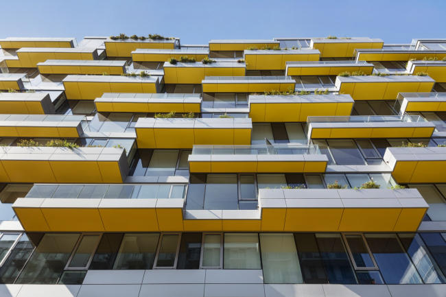 ����� �������� West Half