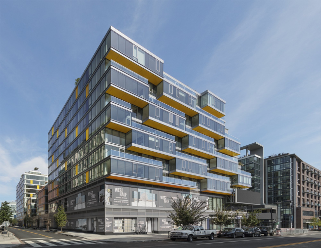 ����� �������� West Half