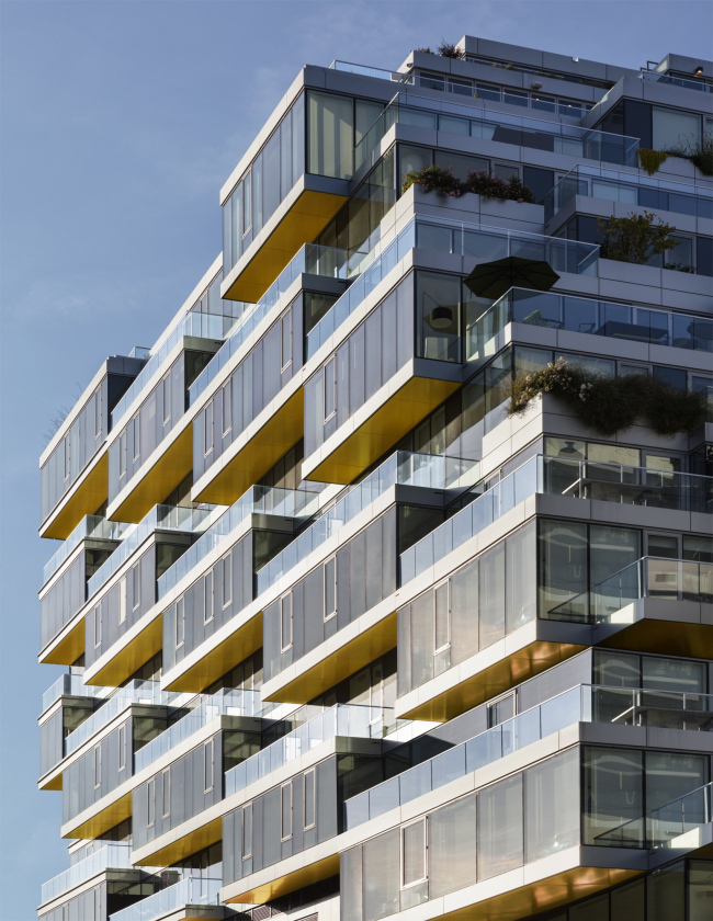 ����� �������� West Half