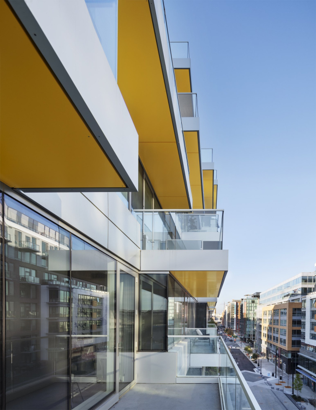 ����� �������� West Half