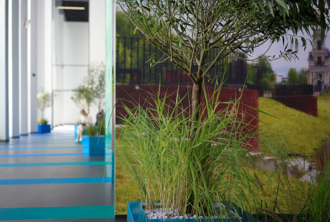 ����� ������ ��� �����, 2021. ��������